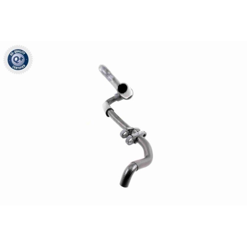 VAICO K&uuml;hlerschlauch Q+, Erstausr&uuml;sterqualit&auml;t