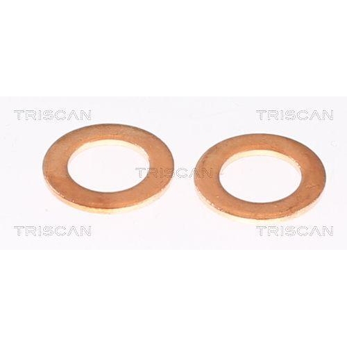 TRISCAN Bremsschlauch