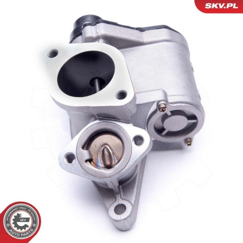 ESEN SKV AGR-Ventil 14SKV168