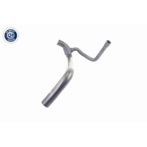 VAICO Kühlerschlauch Q+, Erstausrüsterqualität V30-0224