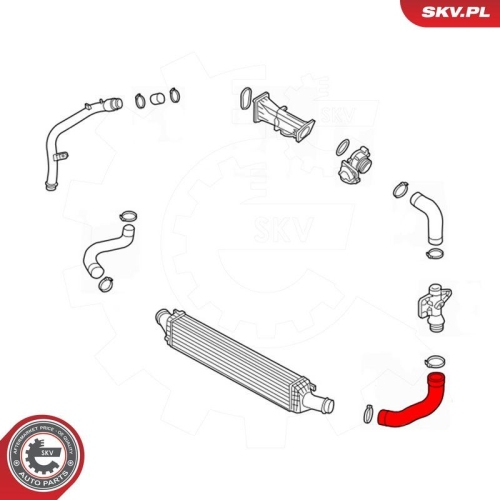 ESEN SKV Ladeluftschlauch 43SKV422