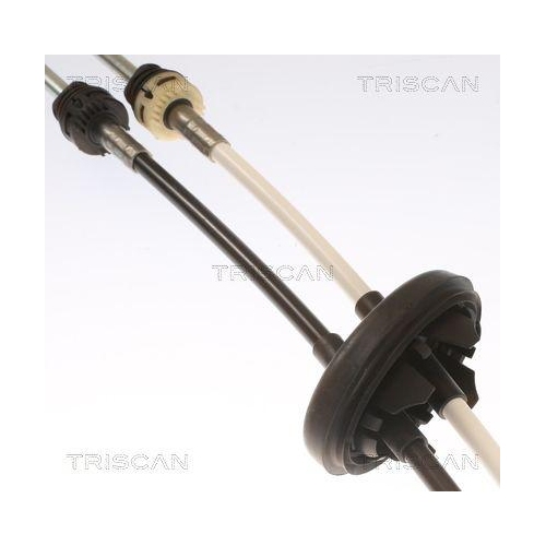 TRISCAN Seilzug, Schaltgetriebe 8140 29753