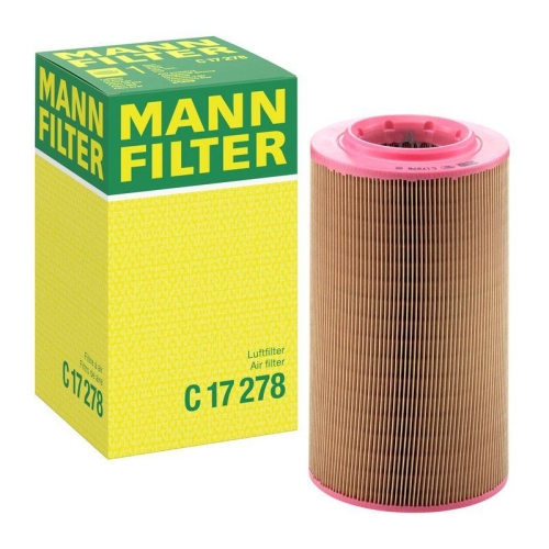 MANN-FILTER Luftfilter C 17 278