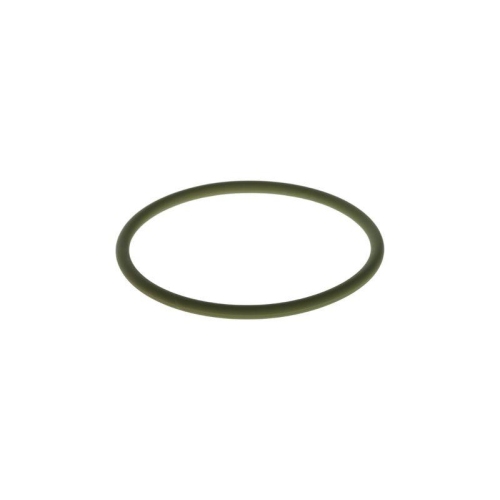 BOSCH Gummiring F 00R 0P0 353