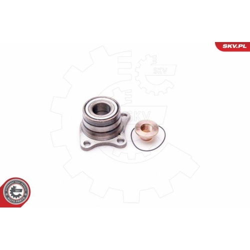 ESEN SKV Radlagersatz