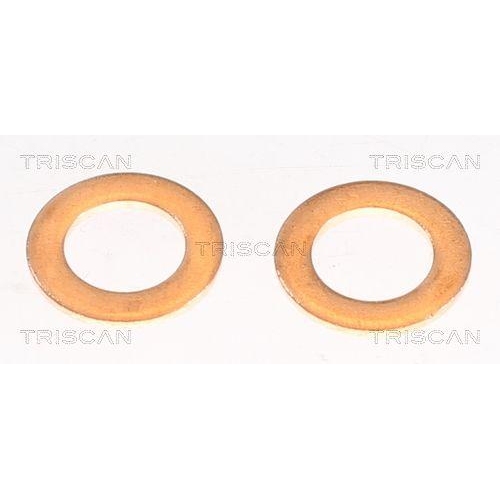 TRISCAN Bremsschlauch 8150 131009