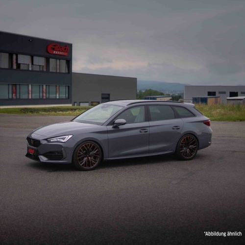 EIBACH Fahrwerkssatz, Federn Sportline E20-81-018-01-22