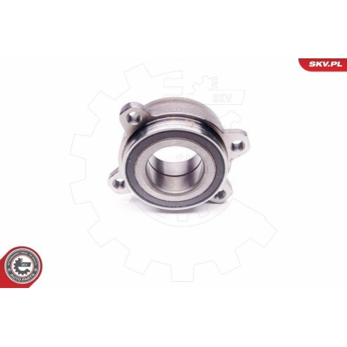 ESEN SKV Radlagersatz