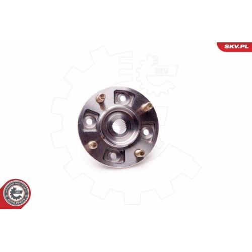ESEN SKV Radlagersatz