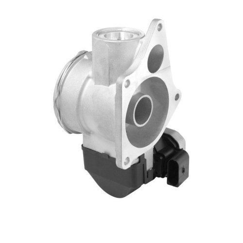 BorgWarner AGR-Ventil 7256D