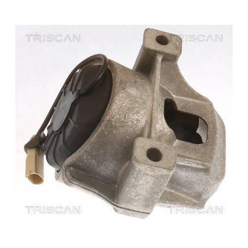 TRISCAN Lagerung, Motor 8505 29196