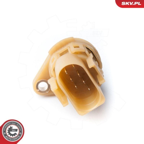 ESEN SKV Schalter, Fahrstufe 96SKV003