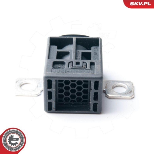 ESEN SKV &Uuml;berspannungsschutzger&auml;t, Generator 96SKV004