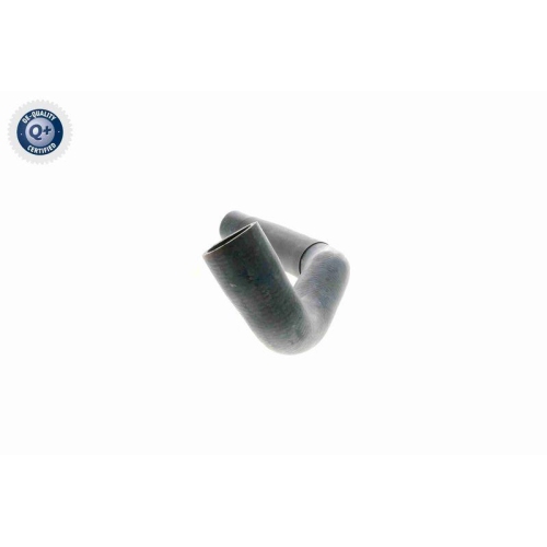 VAICO Kühlerschlauch Q+, Erstausrüsterqualität V30-0708