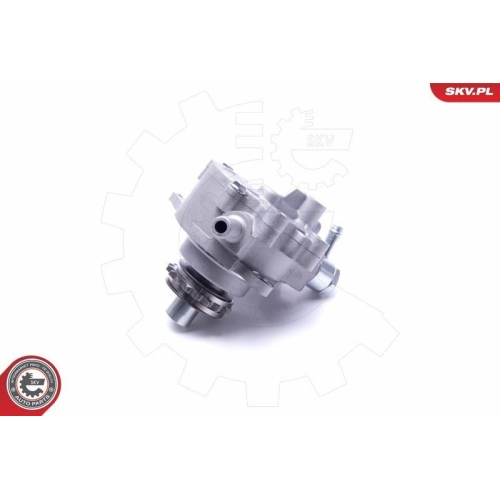 ESEN SKV Unterdruckpumpe, Bremsanlage