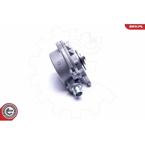 ESEN SKV Unterdruckpumpe, Bremsanlage