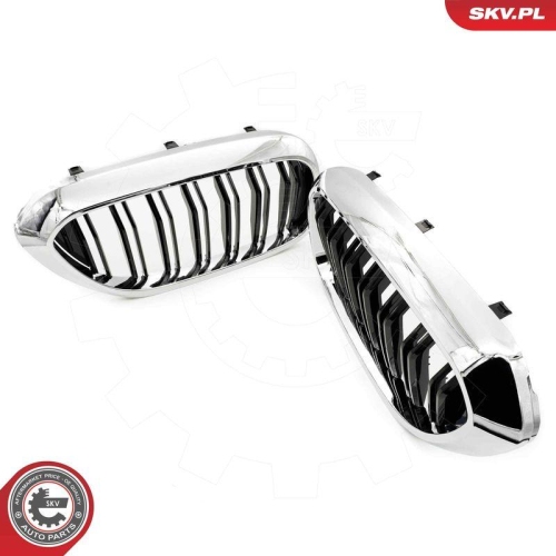 ESEN SKV Kühlergitter