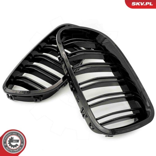 ESEN SKV Kühlergitter
