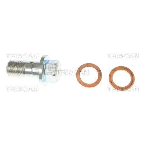 TRISCAN Bremsschlauch 8150 10238