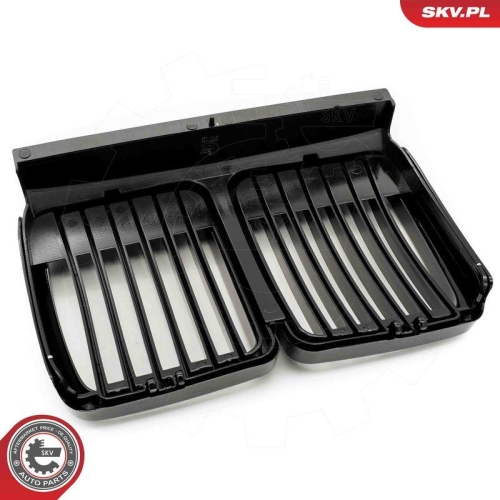 ESEN SKV Kühlergitter