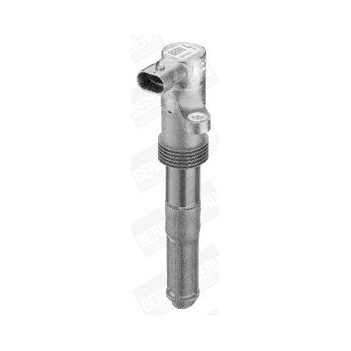 BorgWarner (BERU) Z&uuml;ndspule ZS321