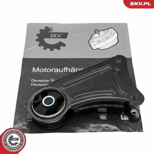 ESEN SKV Lagerung, Motor 75SKV061