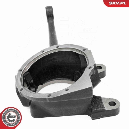 ESEN SKV Achsschenkel, Radaufh&auml;ngung