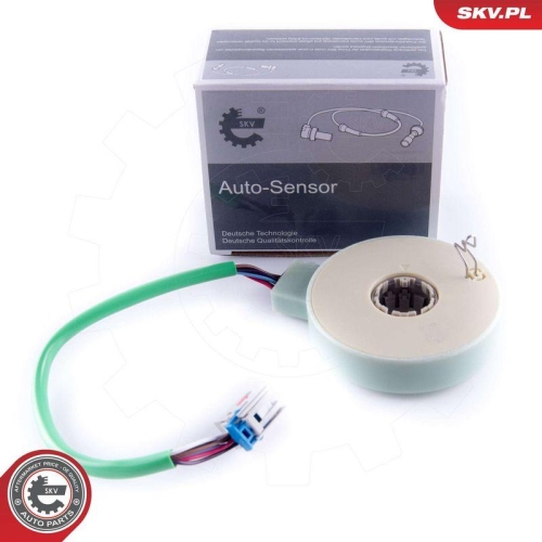 ESEN SKV Lenkwinkelsensor 17SKV479