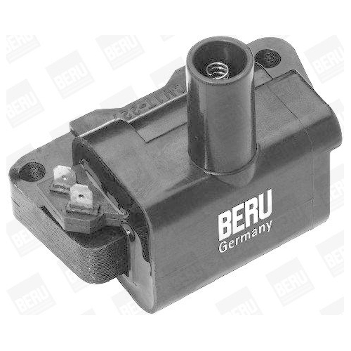 BorgWarner (BERU) Z&uuml;ndspule ZS326