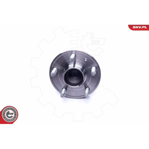 ESEN SKV Radlagersatz 29SKV249