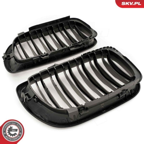 ESEN SKV Kühlergitter