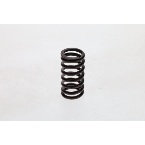 BOSCH Feder 2 414 619 011