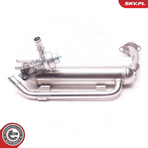 ESEN SKV AGR-Ventil 14SKV118