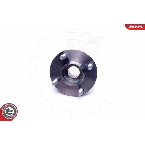 ESEN SKV Radlagersatz