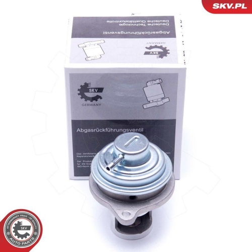 ESEN SKV AGR-Ventil 14SKV182