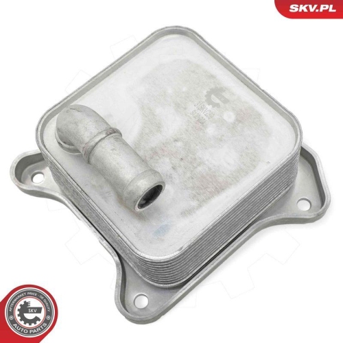 ESEN SKV &Ouml;lk&uuml;hler, Motor&ouml;l 31SKV289