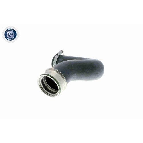 VAICO Ladeluftschlauch Q+, Erstausrüsterqualität