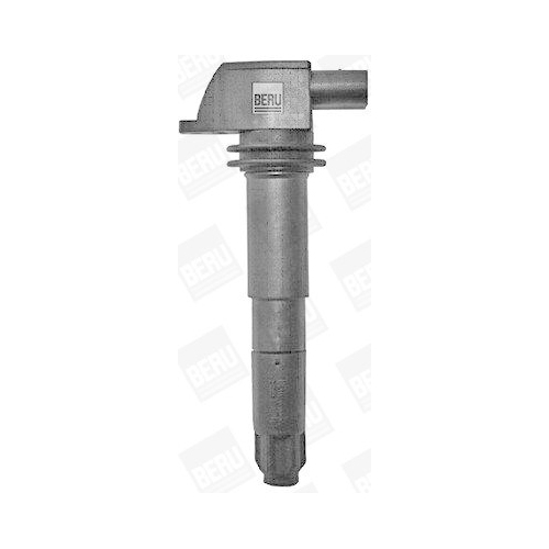 BorgWarner (BERU) Z&uuml;ndspule ZSE054