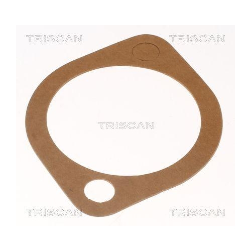 TRISCAN Thermostat, Kühlmittel 8620 5791