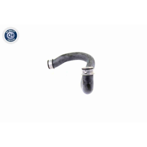 VAICO Kühlerschlauch Q+, Erstausrüsterqualität