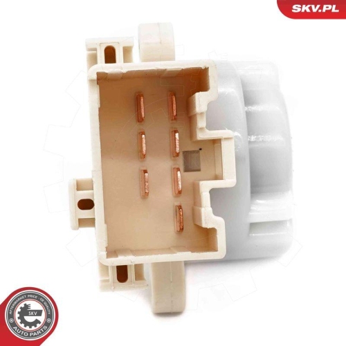 ESEN SKV Zünd-/Startschalter