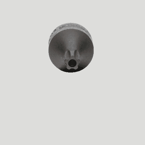 1/4 Zoll Bit-Stecknuss TorxPlus mit Stirnlochbohrung IPR25 extra kurz 911.1878