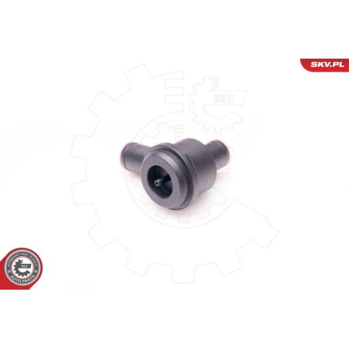 ESEN SKV Ventil, Kurbelgehäuseentlüftung 31SKV014