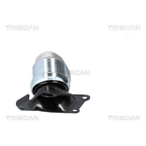 TRISCAN Lagerung, Motor