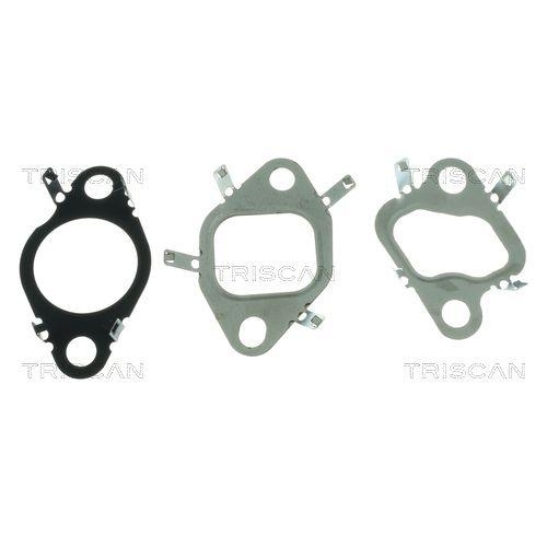 TRISCAN AGR-Ventil 8813 25048