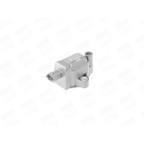 BorgWarner (BERU) Z&uuml;ndspule ZS439