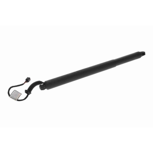 ACKOJA Elektromotor, Heckklappe Original ACKOJA Qualit&auml;t A53-55-0001