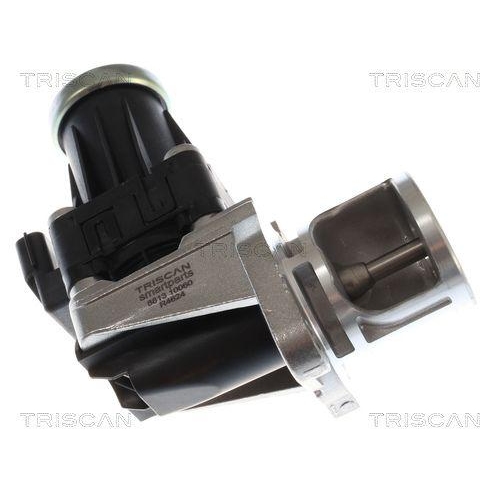 TRISCAN AGR-Ventil 8813 10060