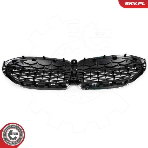 ESEN SKV Kühlergitter