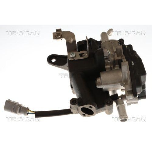 TRISCAN AGR-Ventil 8813 29118